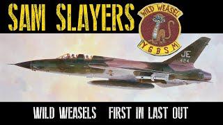 F-105 Wild Weasels in Vietnam, Leo Thorsness Medal of Honor