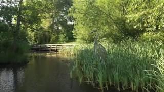 Davy Down Country Park & Stifford Viaduct