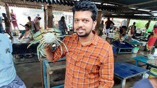 Fish market :: Kattumavadi Fish auction hall :: Iyarkai Rasigan