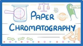 GCSE Chemistry - Paper Chromatography #63