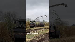 Van Bakel  - Extreme MUD - Claas Jaguar 990 #claas  #claasjaguar #mud #machine #2024 #990