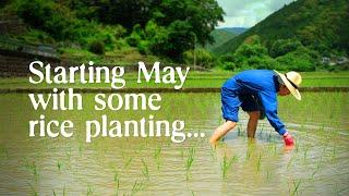 Spend May in the Japanese countryside with us: Planting rice, cooking bamboo & house hunting