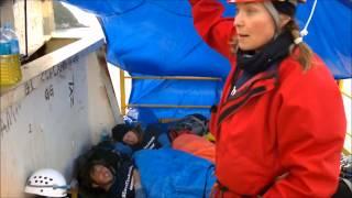 Save the Arctic, Lucy Lawless By XenaNews.be