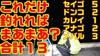 漁港からの投げ釣り！魚種もそこそこ？釣りチューバーへの第一歩はやさしい漁港からスタート！