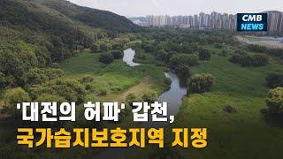 [대전뉴스] '대전의 허파' 갑천, 국가습지보호지역 지정