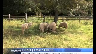 Agricultura bio