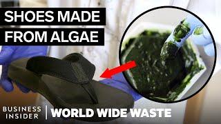 Flip-Flops Made From Plants And Algae Can Help Reduce Plastic Pollution | World Wide Waste