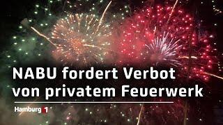 Wegen Feinstaubbelastung und Problemen für Tiere: NABU fordert privates Feuerwerksverbot