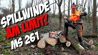 Spillwinde am Limit! MS 261 greift an! Nordforest 1800 #stihl