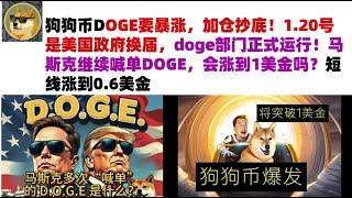 狗狗币DOGE要暴涨，加仓抄底！1.20号是美国政府换届，doge部门正式运行！马斯克继续喊单DOGE，会涨到1美金吗？短线涨到0.6美金#DOGE币#马斯克狗狗币#DOGE行情分析