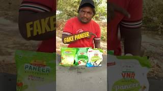 Testing Fake Paneer
