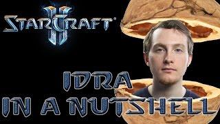 IdrA in a Nutshell