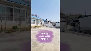 [주택.85] 대대손손 이어져 내려온 마당넓은 수리된 시골집 #밀양부동산 #밀양촌집 #밀양시골집 #밀양시골주택 #밀양촌집매매 #밀양주말용주택 #shorts