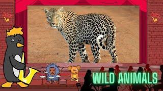 Jazz Baby: Wild Animals by Oxbridge Baby