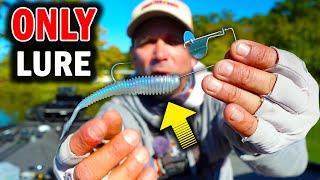 The ONLY Lure you NEED to Catch Fish in November