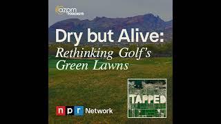 Dry but Alive: Rethinking Golf's Green Lawns