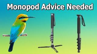 Monopod Advice Needed for Bird Photography