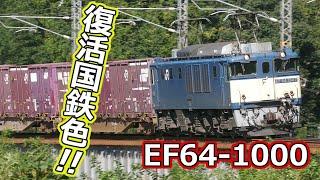 国鉄色復活！山線用直流電気機関車EF64 1000番台 伯備線で製紙輸送