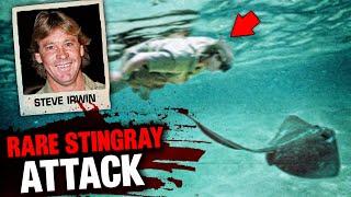 The DEADLY Last Minutes Of Steve Irwin The Crocodile Hunter