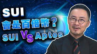 Sui 挑战 Aptos ，公链新贵的博弈20230211