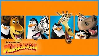 Meet the Madagascar Crew!  | DreamWorks Madagascar