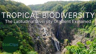 Tropical Biodiversity: The Latitudinal Diversity Gradient Explained | EcolClips