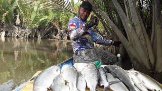 coba coba pasang jaring ikan bandeng...Ternyata hasilnya dapat ikan bandeng besar