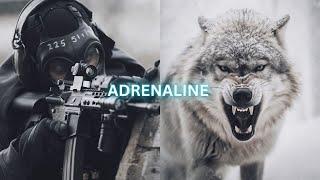 The highest level of adrenaline (Must Watch)