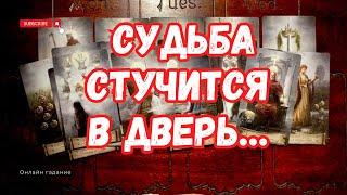 СУДЬБА СТУЧИТСЯ в ДВЕРЬ! ВСЁ, что РАССКАЖУ, СКОРО СБУДЕТСЯ️Чем ВОЗНАГРАДИТ ВСЕЛЕННАЯ? Таро