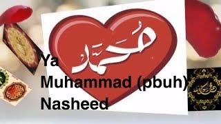 Ya Muhammad (pbuh) | Nasheed Video | Shaykh Ali Elsayed