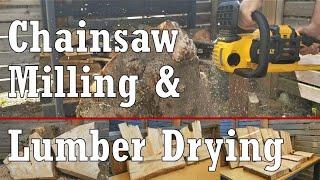 ELECTRIC CHAINSAW MILLING // Apple and Maple Lumber Drying Update