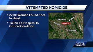 Stowe Township attempted homicide