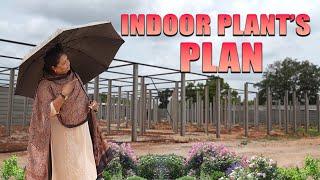 INDOOR  PLANT'S  PLAN  | #indoorplants #gardening #smallplants