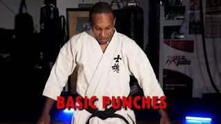 Shidokan Karate Basic Punching