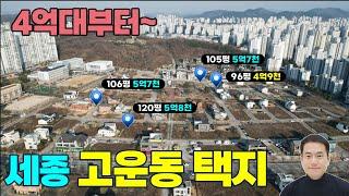 (급매모음) 세종시 고운동 4억대 최저가 단독주택지 매매 모음 학교4곳 중심상가 도보5분 세종 도심속 최고의 전원주택지