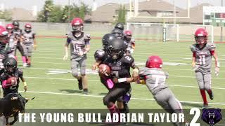 THE YOUNG BULL ADRIAN TAYLOR