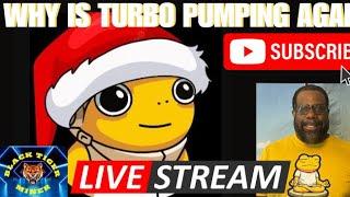 Turbo is Pumping Again!!! Why?? Robinhood Listing?? Christmas Rally?? #turbo $turbo