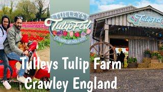 Tulleys Tulip Fest Crawley England. #tulip #tulipfestival #crawley #england #ukmalayalam