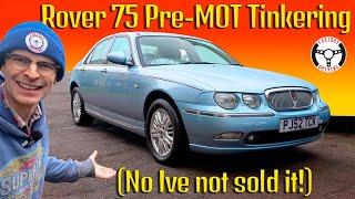 Rover 75 Pre-MOT tinkering - brake flush, subframe painting and extreme clean