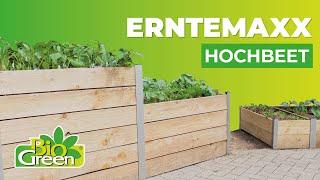 ErnteMAXX - Das ultimative Hochbeet für alle Gärtner!