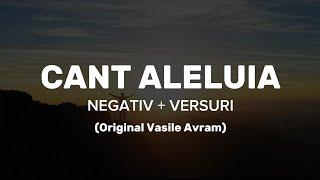 Negativ - Cant Aleluia ( Original Vasile Avram )