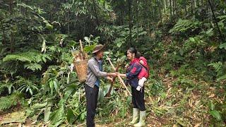 A kind man helped my daughter and me while we were digging bamboo shoots on the mountain