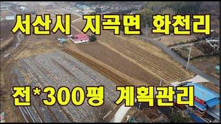 [딸기214]충남 서산시 지곡면 화천리 *전 300평.계획관리. 딸기공인중개사 041.662.0880