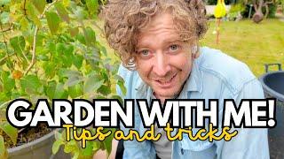 SEPTEMBER GARDEN MAINTENANCE VLOG | Pruning, repotting, cuttings, tricks, hacks and advice!