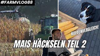 Weiter geht's mit Mais häckseln! Wie groß sind die Sortenunterschiede? FARMVLOg #88