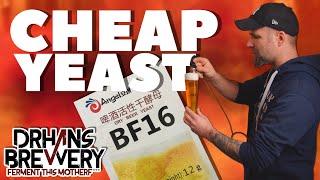 BF16 Angel Beer Yeast -  Cheap Lager Yeast from China