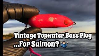 TOPWATER SALMON FISHING in ALASKA - SO MUCH FUN!