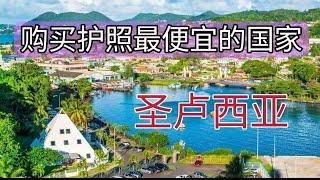 圣卢西亚最便宜的投资购买护照国家。护照免签146个国家，包括申根国英国,美国的十年签证,不对全球收入、遗产税、资本收益或工资收税。受到美国英国加拿大法国的保护，最安全环境最好。和中华民国（台湾）建交