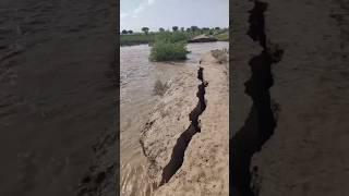 satluj River flood disaster #satlujriver #flood #youtubeshorts