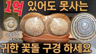 세상에서 가장 아름다운 화문석, 1억 줘도 안 파는 신비스러운 청송꽃돌 Cheonsong Flower Stones